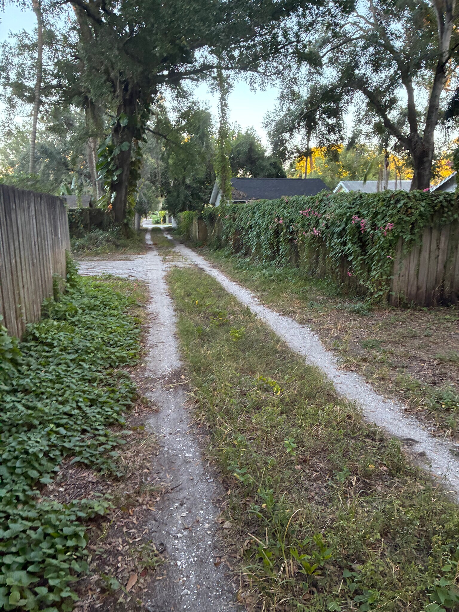 Building Photo - 1220 E Mohawk Ave