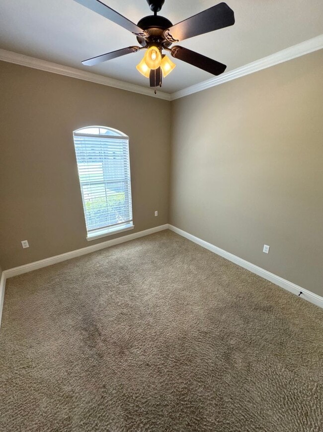 Building Photo - South Bossier Beauty!