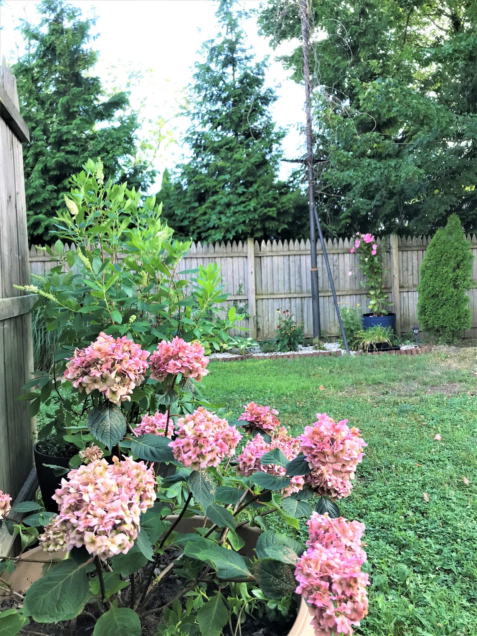 Building Photo - 27 Harborview Ave