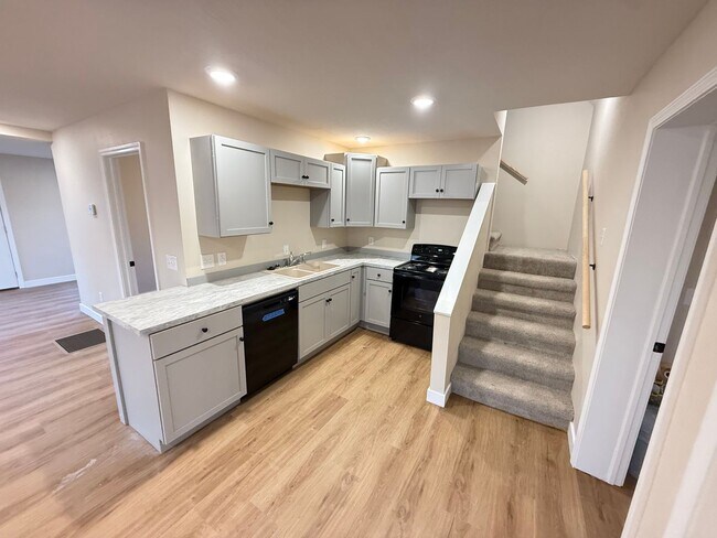 Building Photo - 4 Bed 2 Bath Aurora, MO