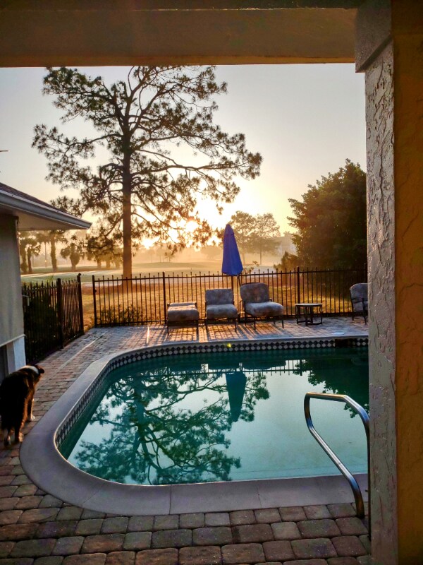 Building Photo - 112 Palmetto Dunes Cir