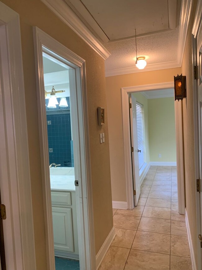 Building Photo - Metairie 3 Bedroom with Spacious Rooms and...