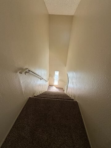 Building Photo - Ready Now! Newly Renovated Two Bedroom Tow...