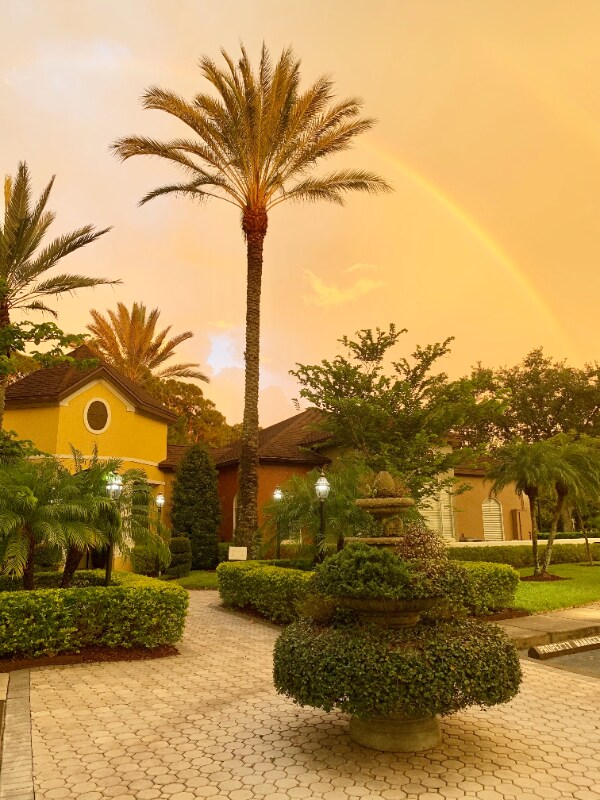 Building Photo - 713 Crest Pines Dr