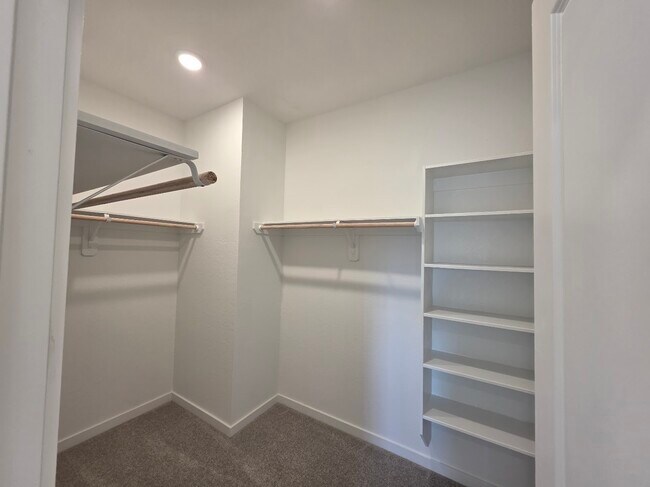 Building Photo - 1743 Magnolia Jade Ct