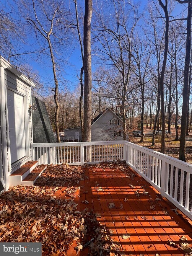 31598 Miller Rd 31598 Miller Rd Cordova MD 21625 Apartment Finder