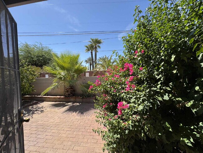 Building Photo - 1 Bedroom with private yard