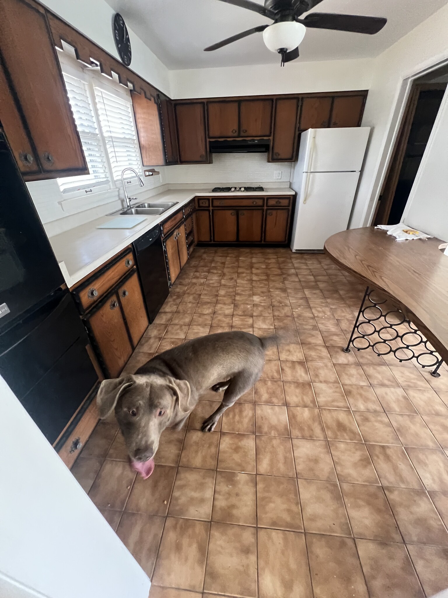 Building Photo - 906 N Allen Ave