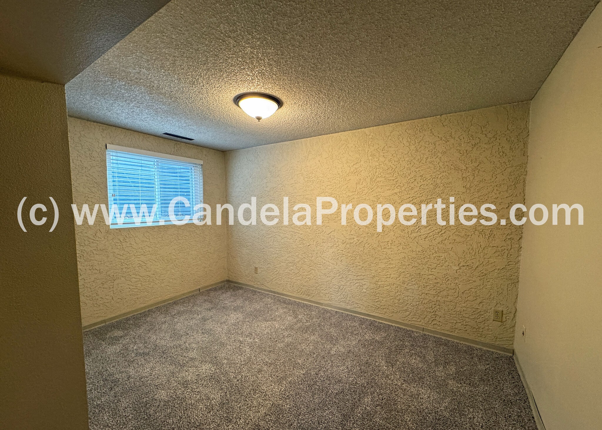 Building Photo - 8038 Horizon Dr