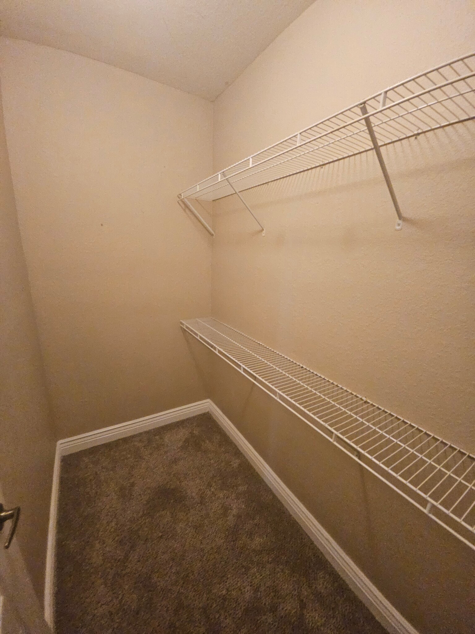 Building Photo - 3726 Palm Desert Ln