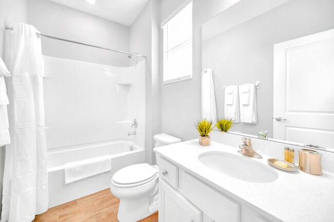 Building Photo - 2567 Shanti Dr