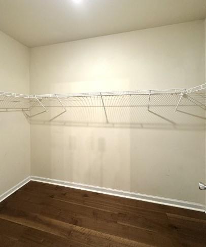 Building Photo - 4111 Pearhaven Ln