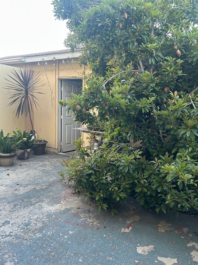 Building Photo - Spacious Home for Rent in Fountain Valley