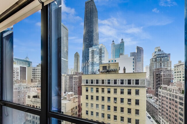 Building Photo - 910 N Lake Shore Dr