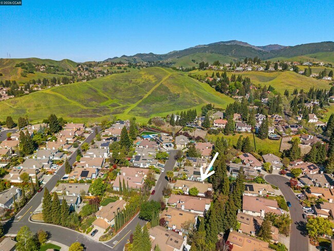 Building Photo - 313 Deepcreek Ct