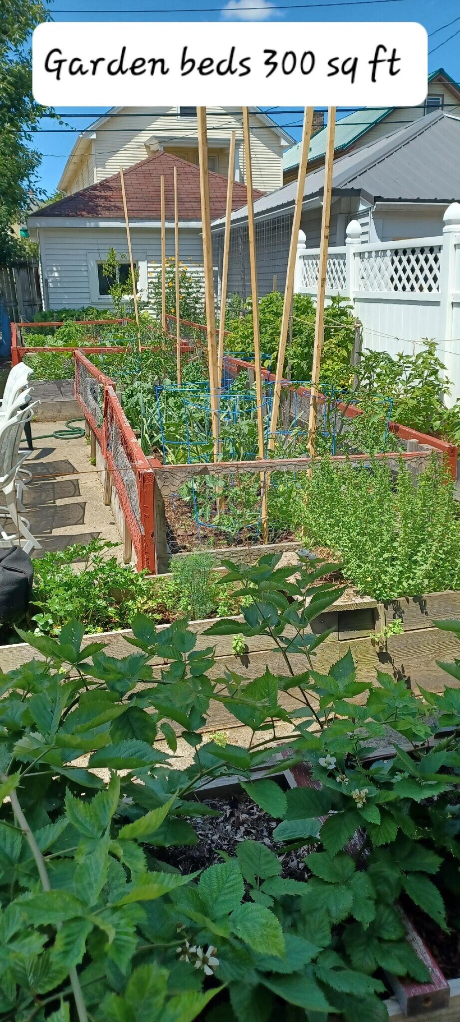 300"ft of raised beds - 304 Wellington Rd
