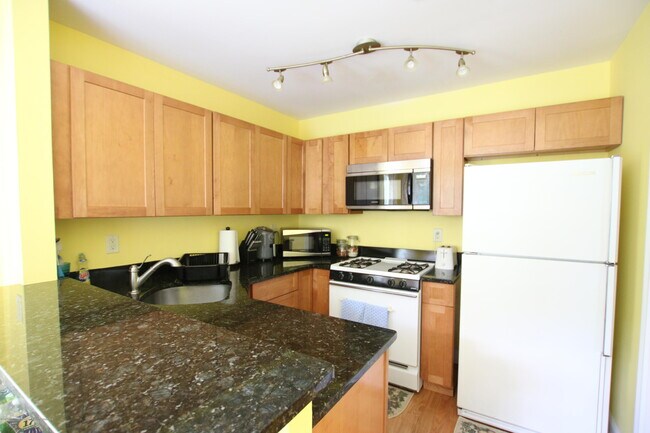 Building Photo - 21 Canidae Ct