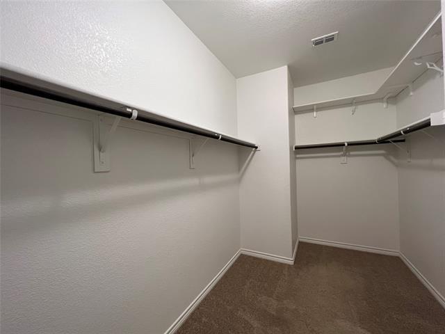 Building Photo - 3721 Fossil Tree Ln