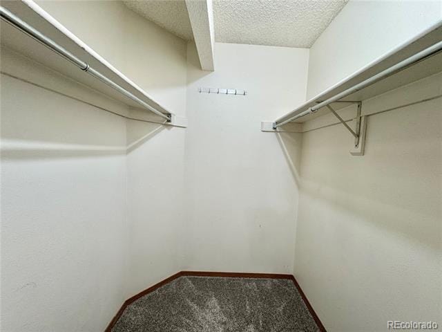 Building Photo - 2129 Troy Ct