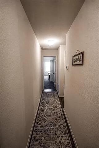 Building Photo - 5344 Brahma Trail