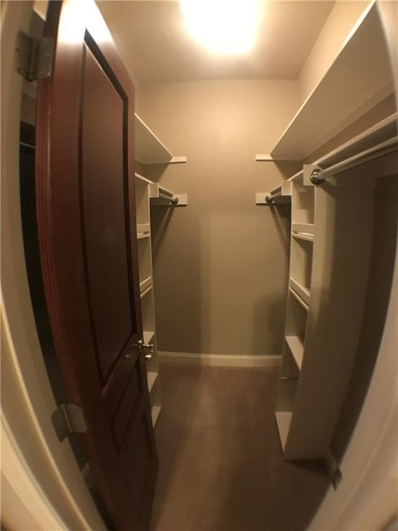 Building Photo - 2529 Rio Grande St