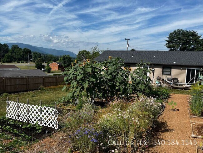 Building Photo - 3615 Ellen Dr