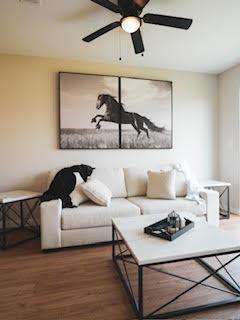 Building Photo - 513 Galt Dr