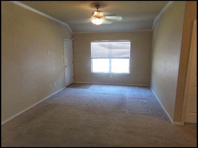 Building Photo - 316 Saunders Dr