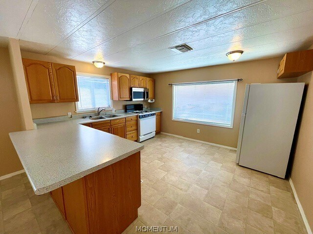 Building Photo - 803 Roadrunner Dr