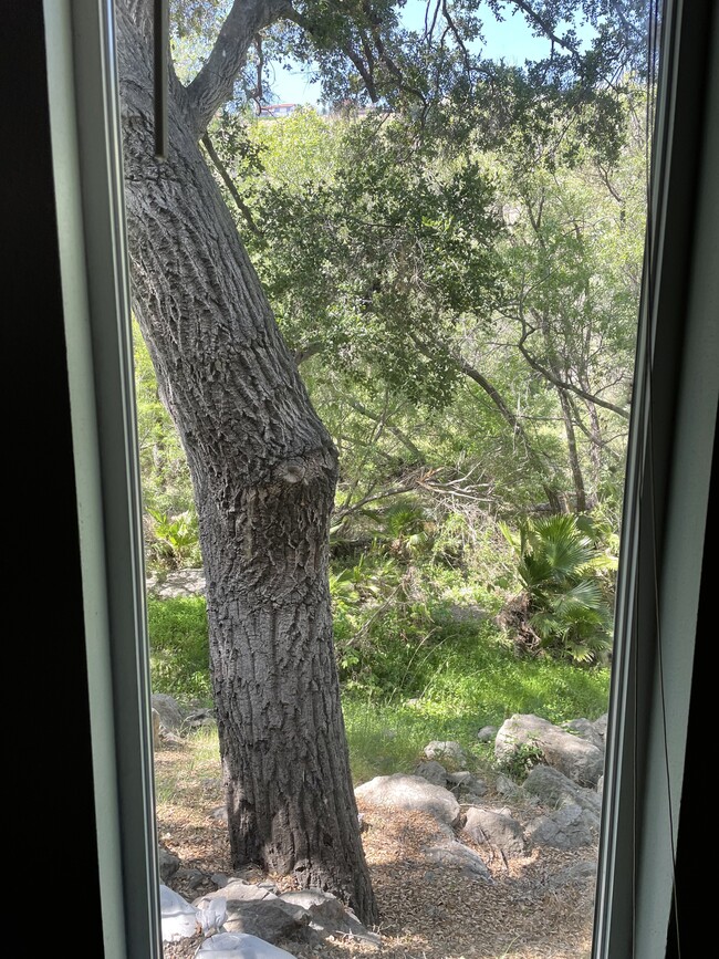 View from window - 85 Sherwood Dr