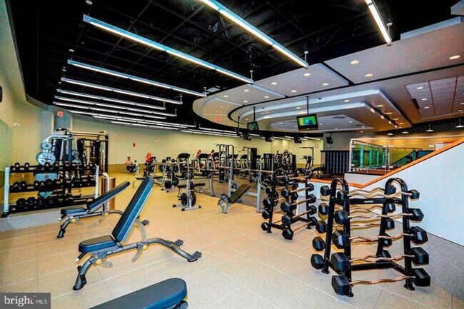 Building Photo - Spacious Studio with all Utilities Included