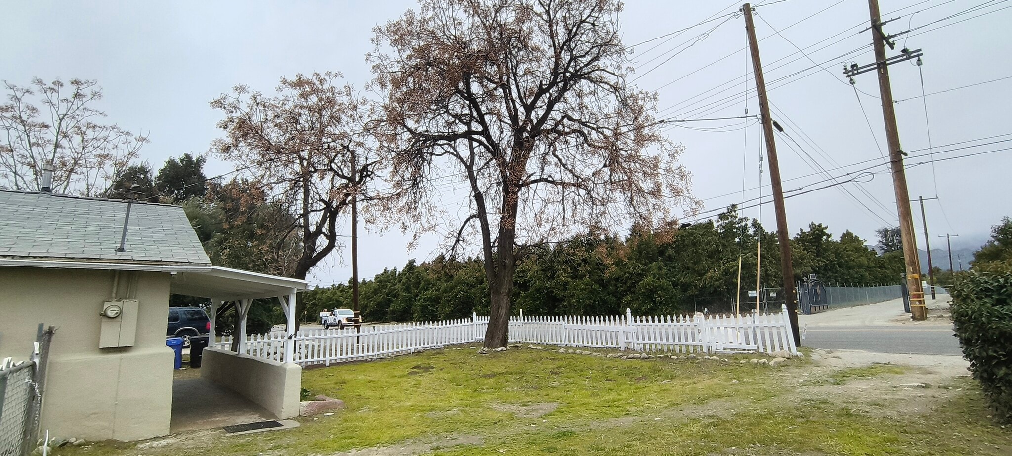 Building Photo - 1720 San Bernardino Ave