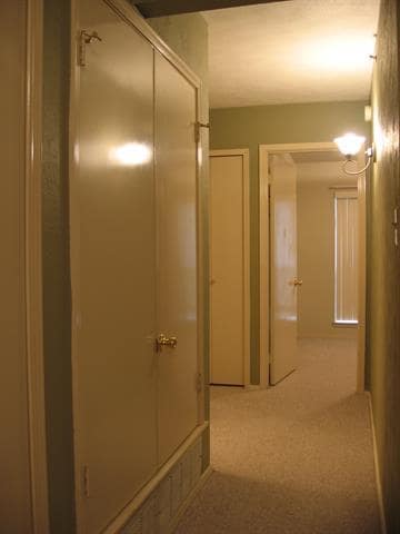 Building Photo - 3125 Grapevine Ln