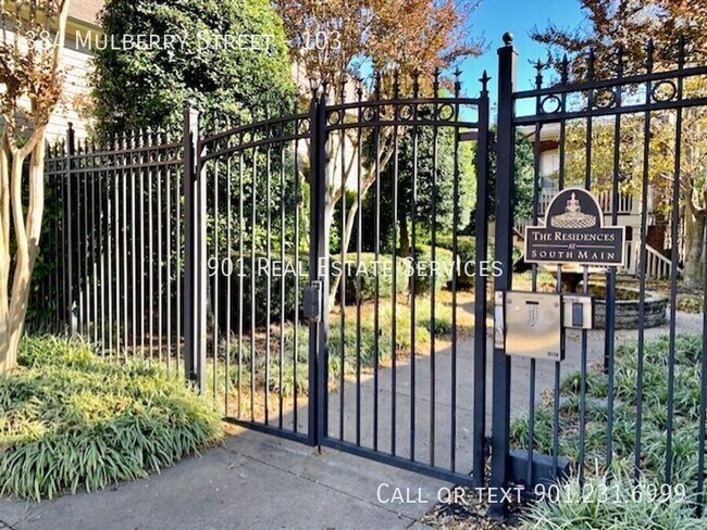 Building Photo - 384 Mulberry St