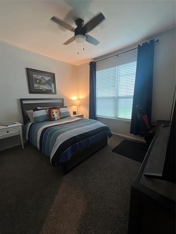 Building Photo - 8613 Horseshoe Hl Ct