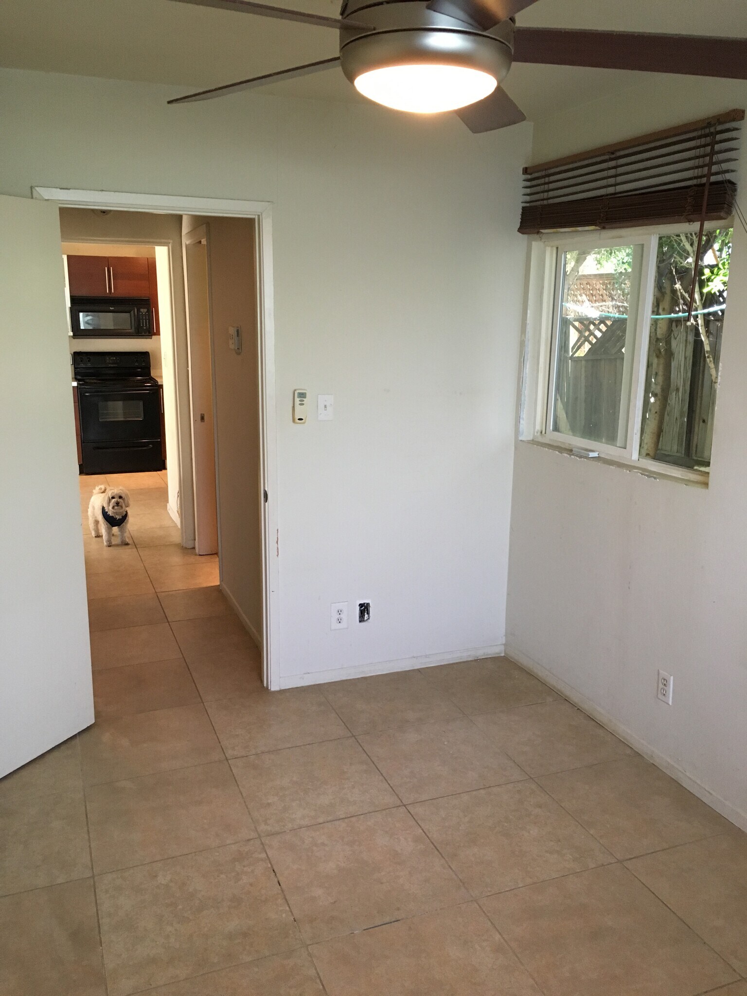 Building Photo - 501 S Calle Abronia