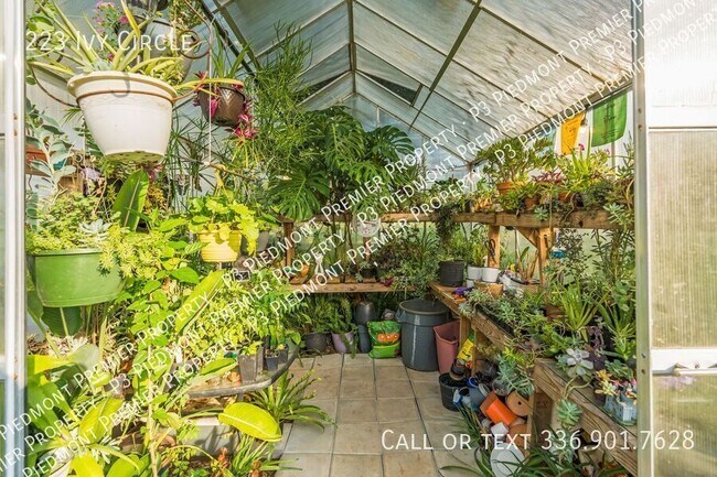 Building Photo - 223 Ivy Cir