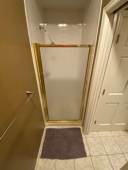 Main Bath-Shower - 311 3rd St S