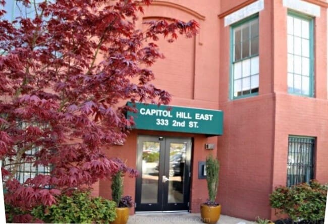 Primary Photo - Capitol Hill 1B/ 1B with a View of The Har...