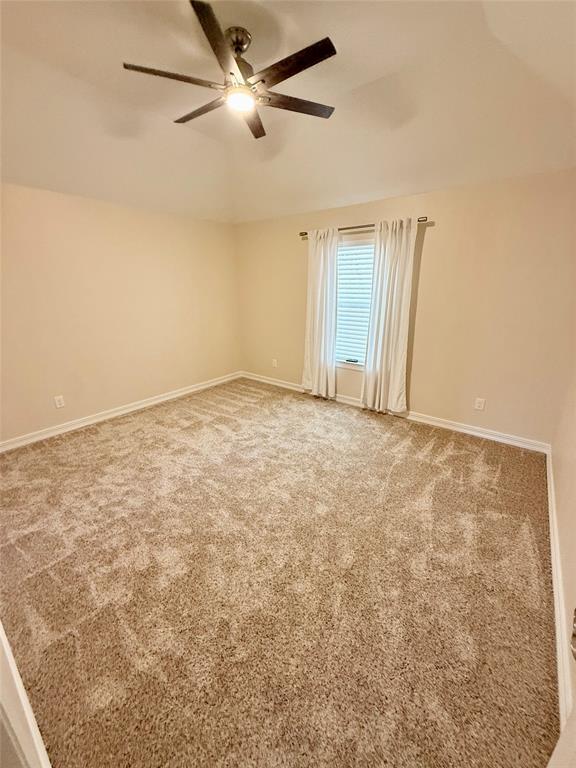 Building Photo - 3902 Teal Fern Ct