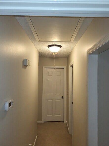 Building Photo - 105 Amick St