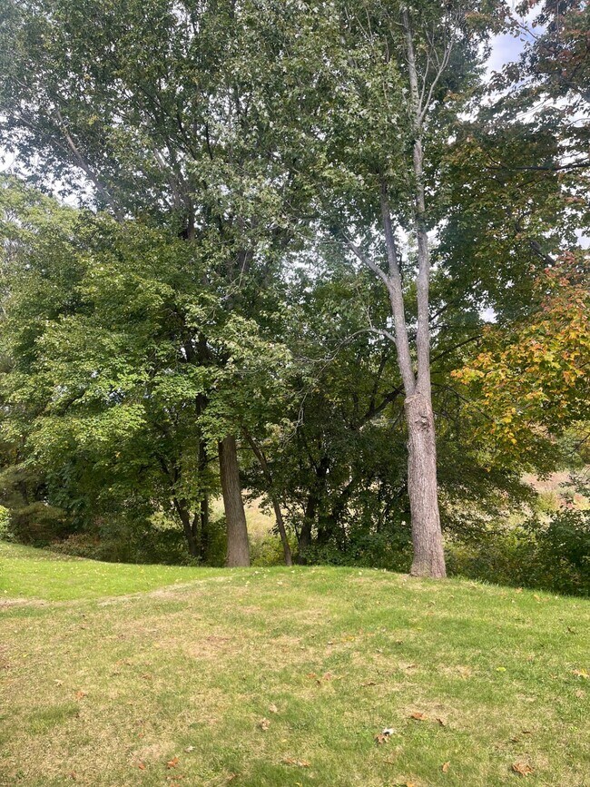 Building Photo - 42 Silver Hill Ln