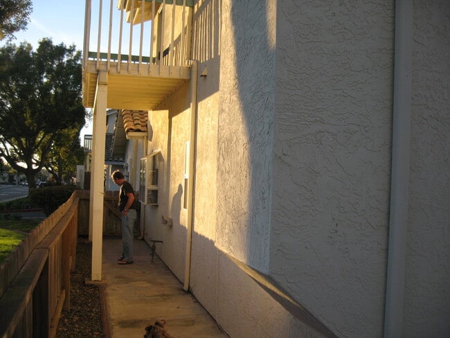 Side yard to street access - 1388 Palomar Pl