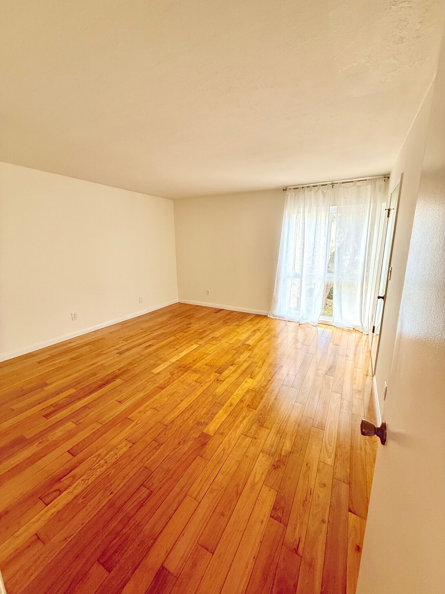 Building Photo - 906 Camino Real