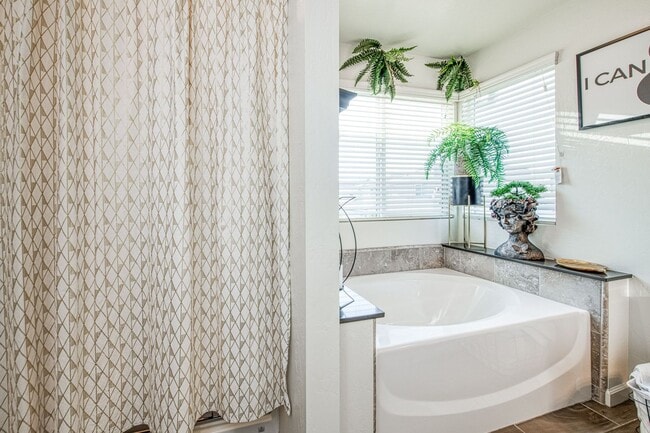 Building Photo - Stunning Clovis Home!