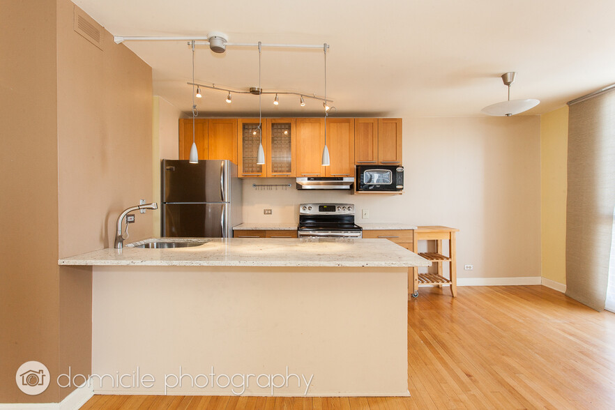 Building Photo - 1540 N La Salle Dr