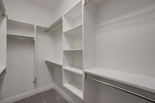 Building Photo - 3301 Damsel Sauvage Ln