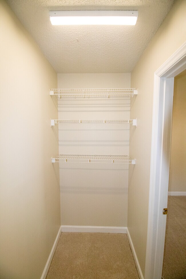 Building Photo - 223 Gregory Dr