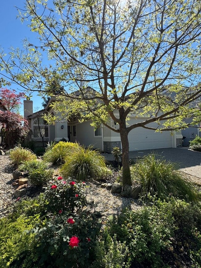 Building Photo - Move-In Ready 3-Bed, 2-Bath Home in Roseville! SEE VIDEO