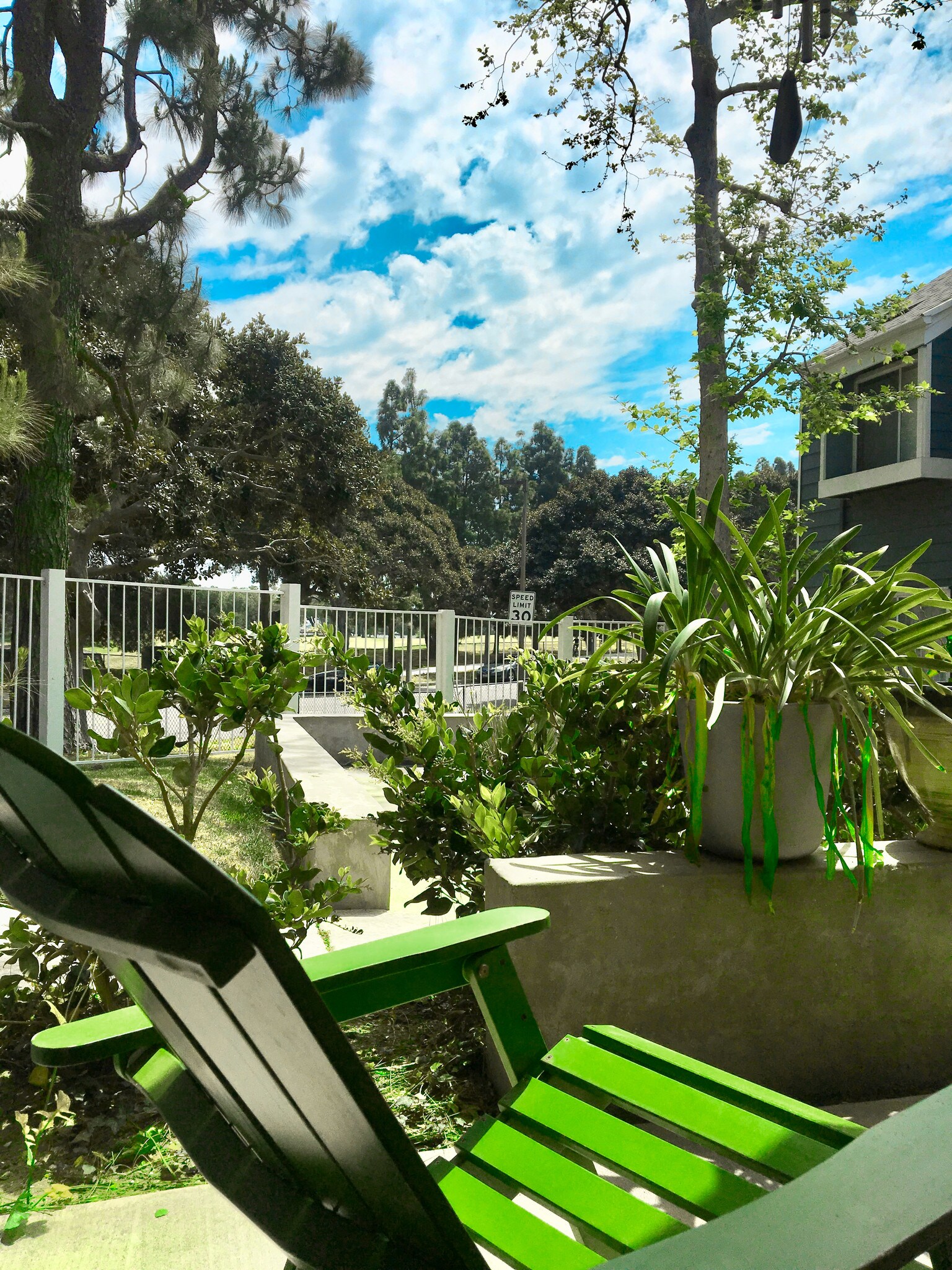 View of green scenery from the outside patio. - 6000 Bixby Village Dr